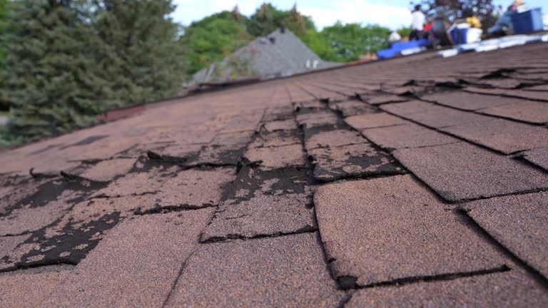  Duluth, WA Roofing Service Pros